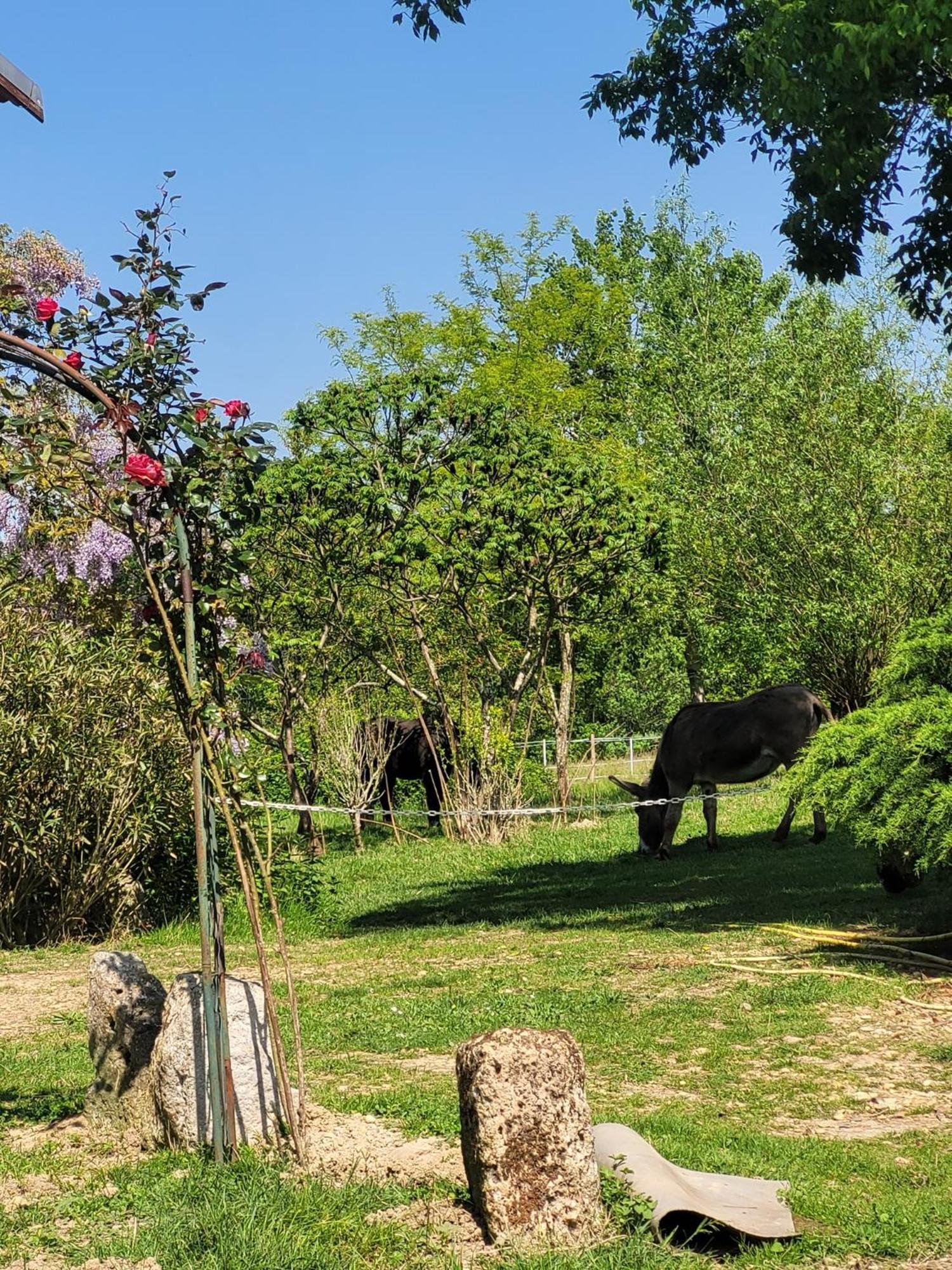 Pey Sud Gaua Bed & Breakfast Sistels Dış mekan fotoğraf